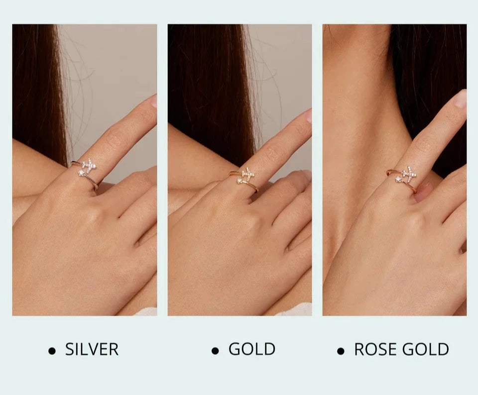 Flying Plane Ring